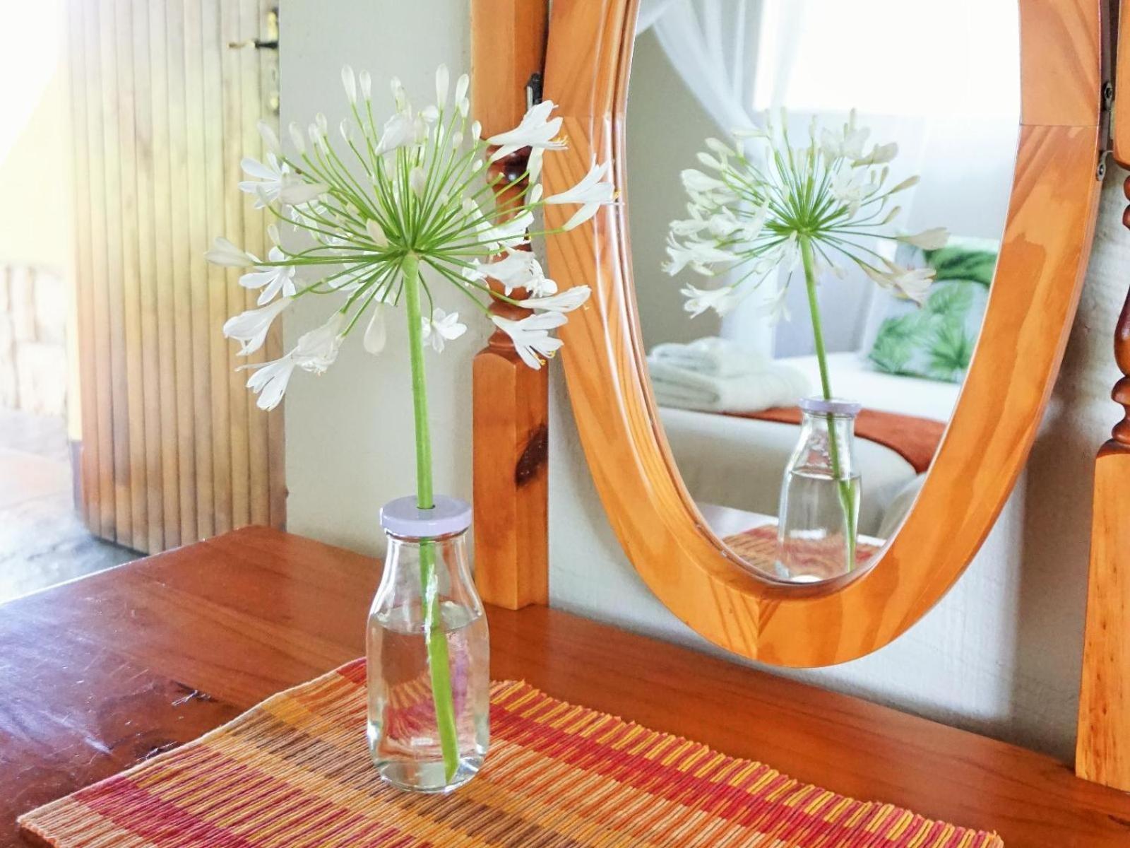 Kum Kula Lodge Amanda 部屋 写真